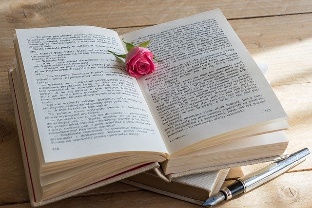 CARTA DE AMOR A LA LETRA Y LA PÁGINA  (UNA HISTORIA DE SUPERVIVENCIA)